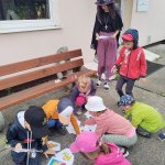 phoca_thumb_m_veverky 2.skup  2 Fotogalerie